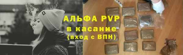 шишки Новокубанск