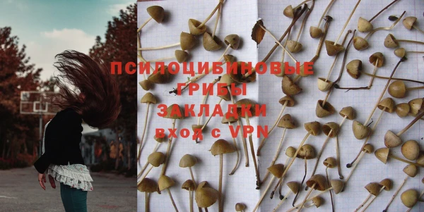 гидропоника Нягань