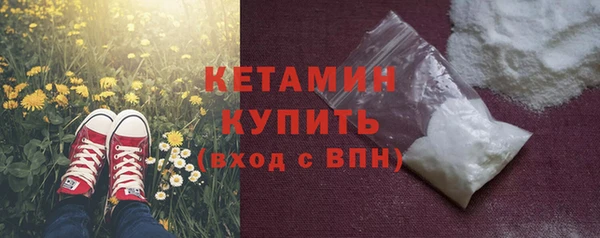 шишки Новозыбков