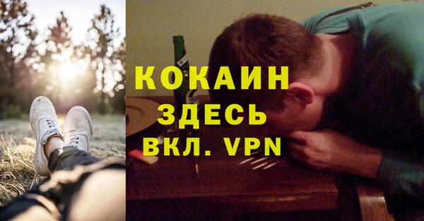 шишки Новозыбков