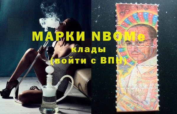 шишки Новозыбков
