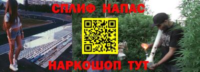 гидра Гусиноозёрск