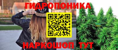 гидра Гусиноозёрск