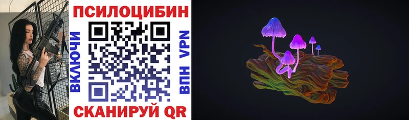 mega рабочий сайт  мориарти наркотические препараты  Галлюциногенные грибы Psilocybe  Кизилюрт 