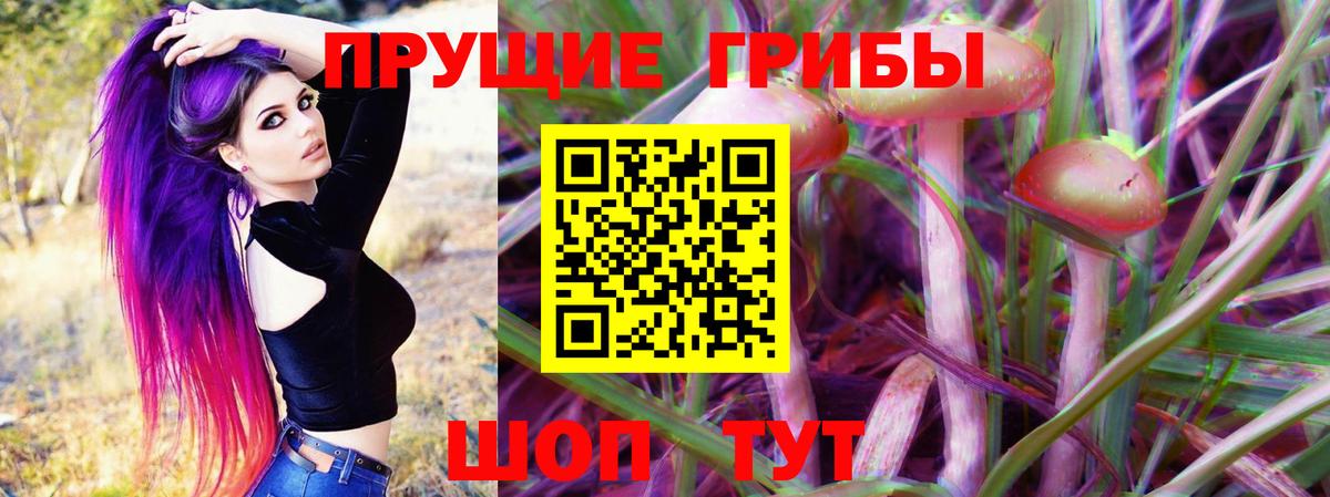 Кизилюрт  Галлюциногенные грибы MAGIC MUSHROOMS  Галлюциногенные грибы GOLDEN TEACHER  Вход с VPN 