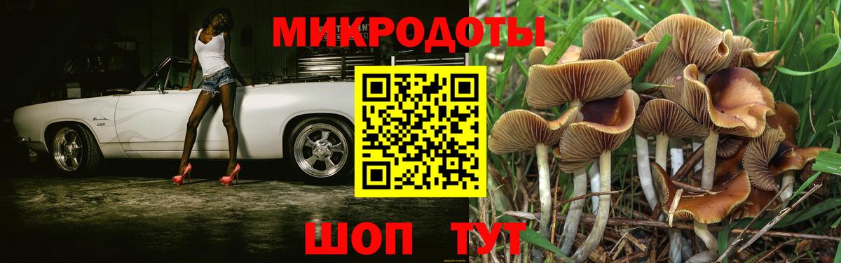 Псилоцибиновые грибы Magic Shrooms Кизилюрт